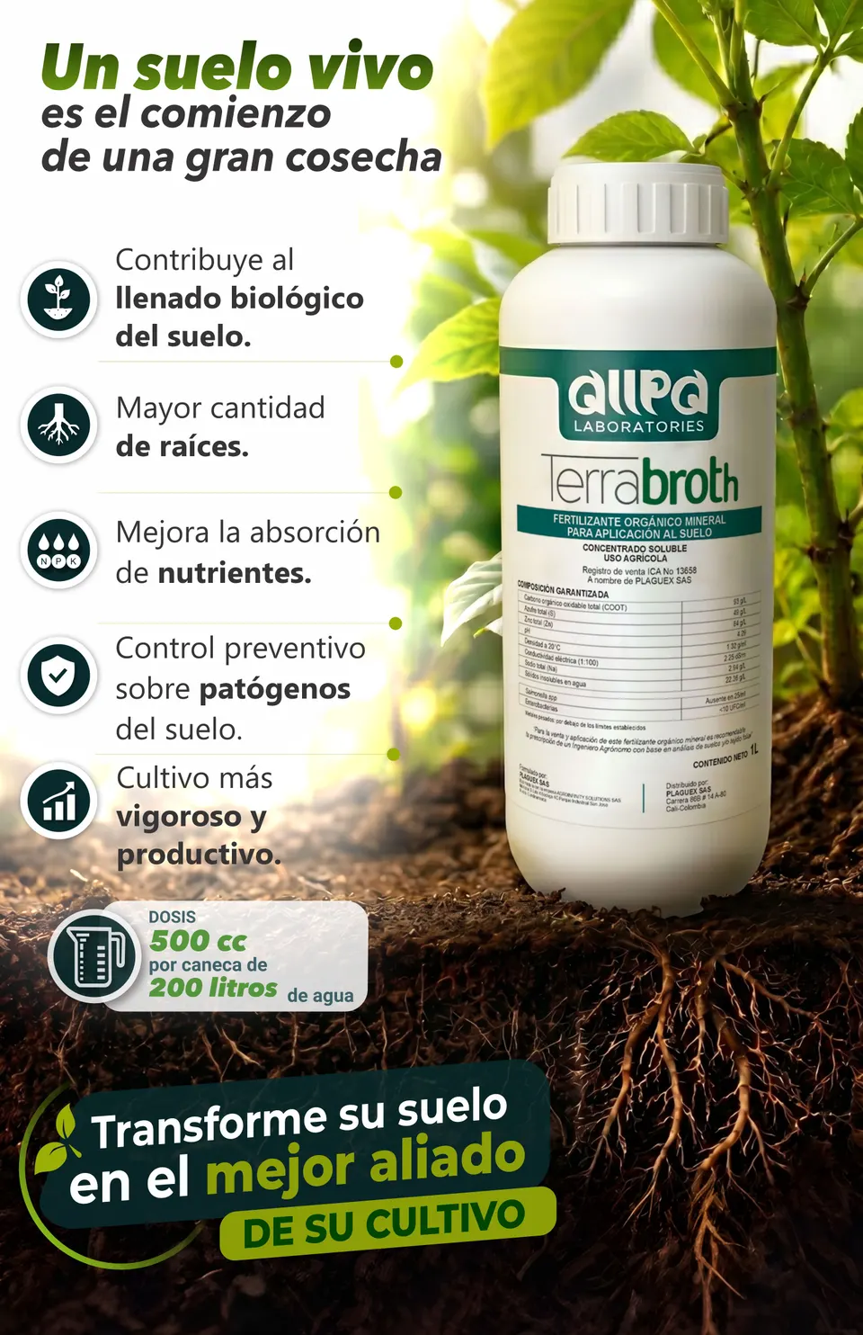 Diseño-flyer-4-segunda-propuesta