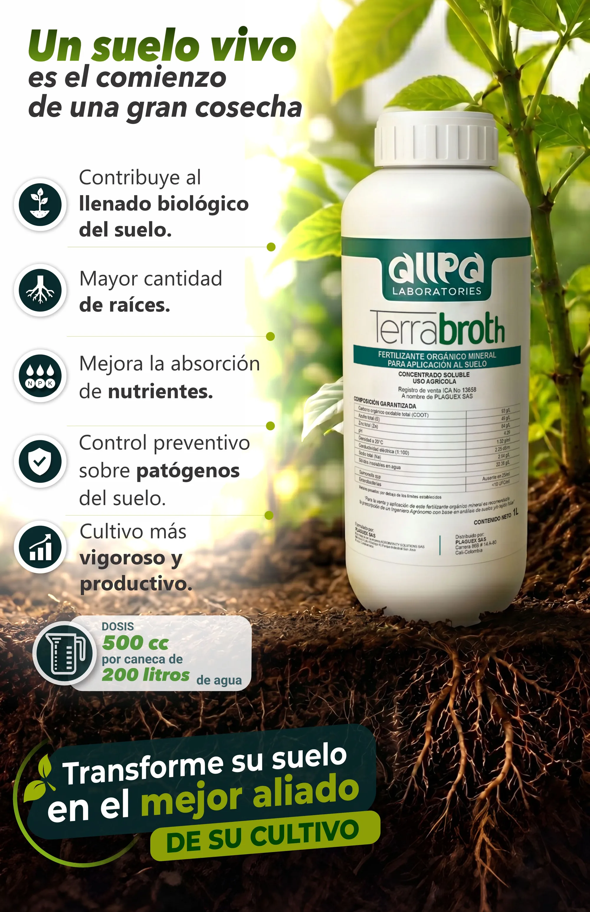 Diseño-flyer-4-segunda-propuesta