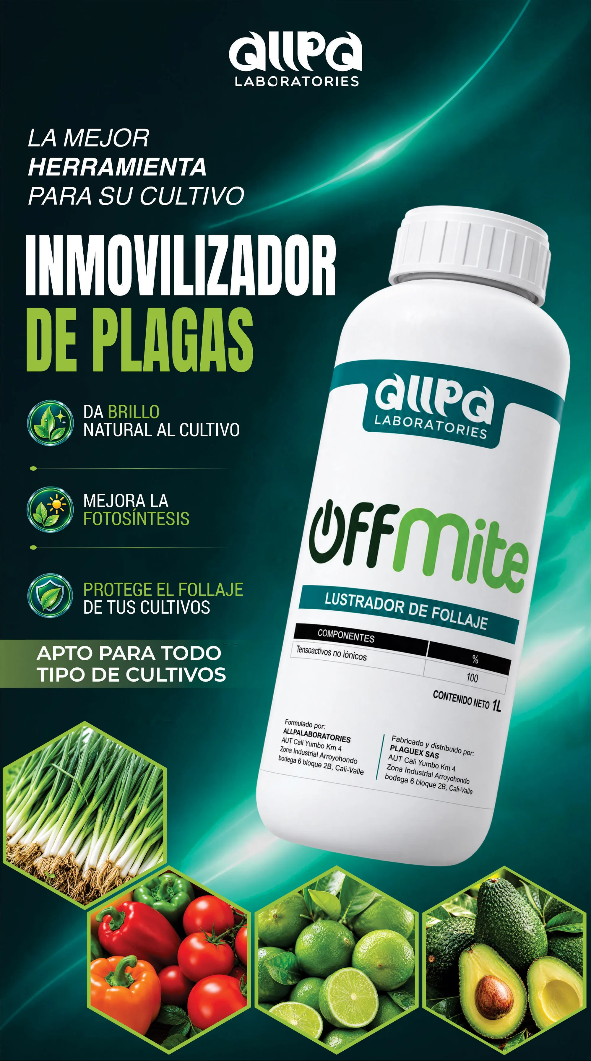 Diseño Offmite Allpa