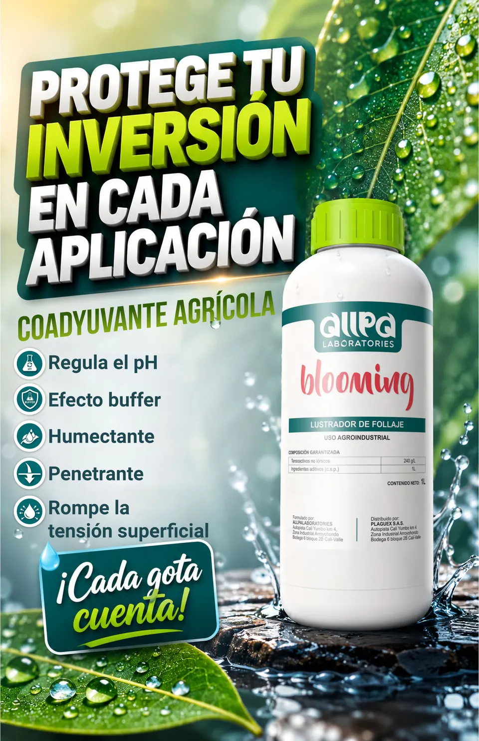 Diseño Volante 3 Segunda Propuesta